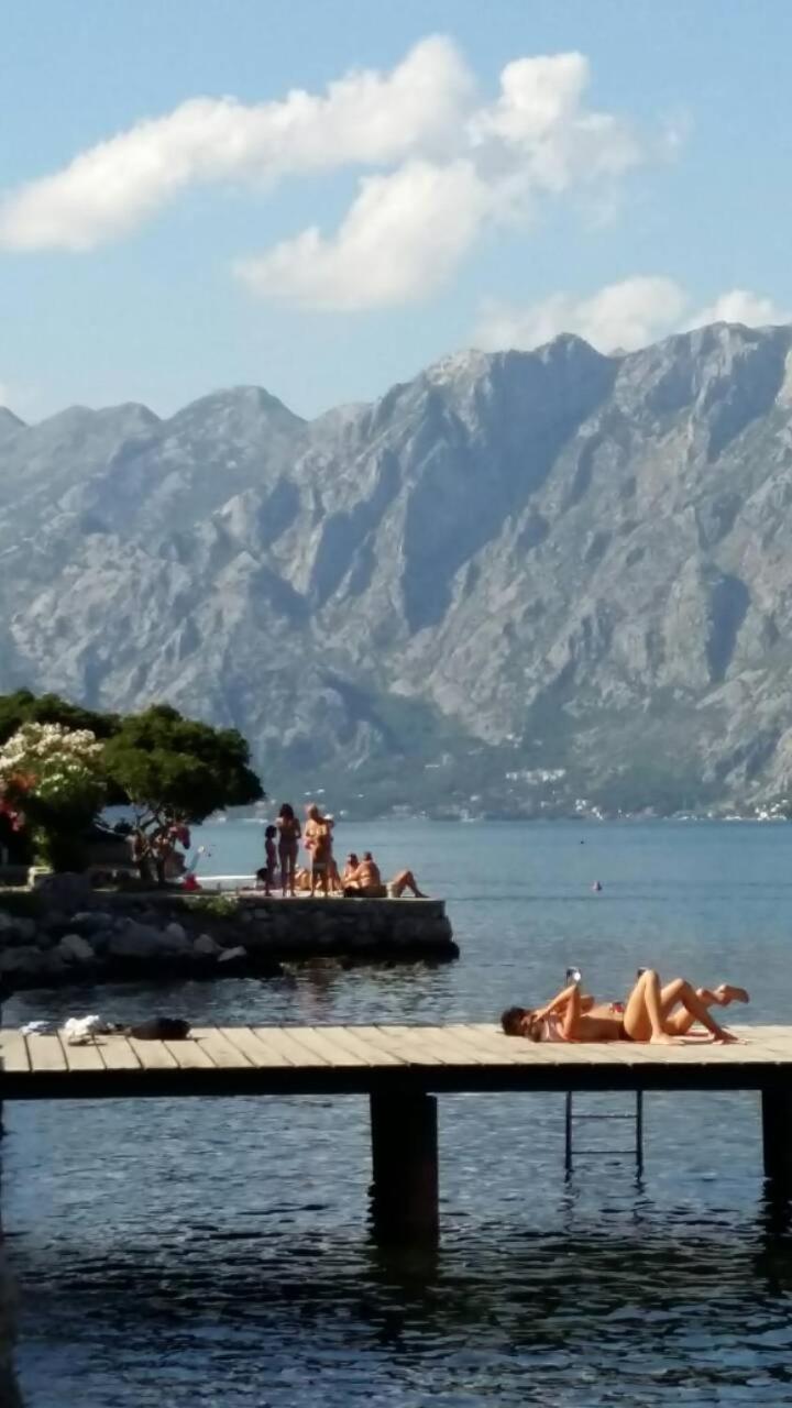 Radiant Daire Kotor Dış mekan fotoğraf